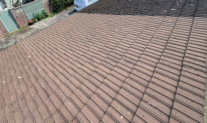 Roof Cleaning by E&S Cleaning and Maintenance